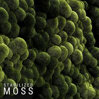 Stabilized Moss 3