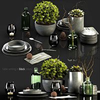 Table Setting in black colors