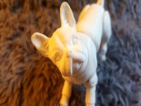 French bulldog (BJD)