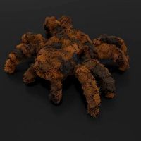 Tarantula rigged and animated