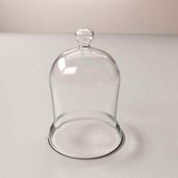 Cloche Bell Jar