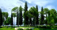 Golf Course 02