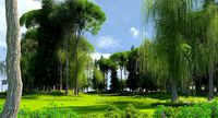 Golf Course 01