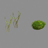 Plants - Brushwood 03