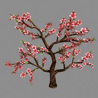 Trees - Peach 27