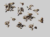 Dynasty Snowfield Conservancy Road - Skull 02