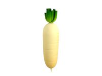 White Radish