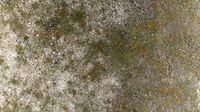 PBR Overgrown Concrete 1