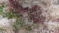 PBR Overgrown Concrete 1