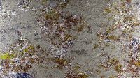 PBR Overgrown Concrete