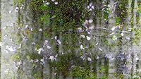 PBR Overgrown Concrete