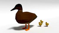 Low Poly Cartoon Gadwall Duck