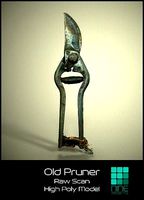 Old Pruner