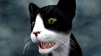 UVWC-017 Cat Textures Only