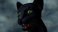 UVWC-001 Cat Texture Only