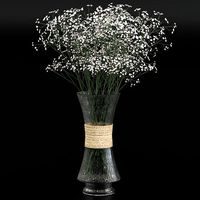Bouquet of gypsophila