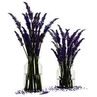 Bouquets of lavender