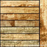 Peronda Foresta Timber