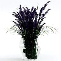 Bouquet of lavender