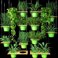 Wall Grid Plants Pot 8