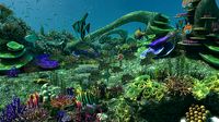 Underwater scene 2