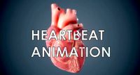 Human Heart - heartbeat animation