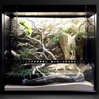 A set of terrariums  bonus Blue Island Viper