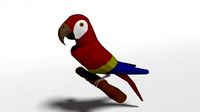 Low Poly Cartoon Macaw Parrot