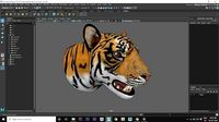 tiger