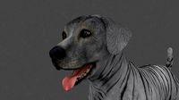 MLAB-011 Animated Dog