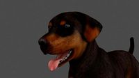 MLAB-009 Animated Dog