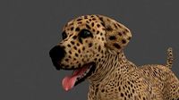 MLAB-007 Animated Dog