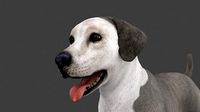 MLAB-005 Animated Dog
