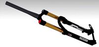 Fork Suspension 29