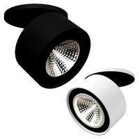 21380x Forte Inca Lightstar Spotlight