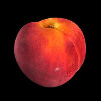 Peach