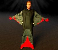 skyDiver 3d model