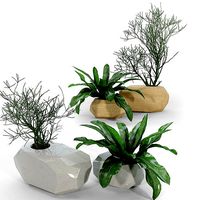 Diy Geometric Concrete Planters