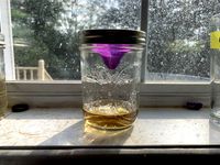 Parametric Ball Jar Gnat Trap