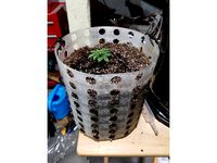 Holey Planter Pot Pot