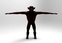 chimpanzees | 3D