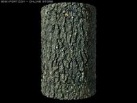 Oak Bark 3D Model