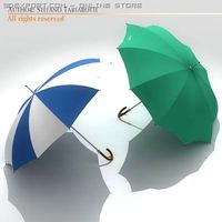 Umbrellas 3D Model