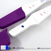 Pregnancy Test 3D Model