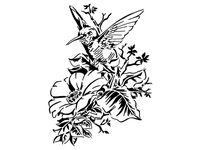 Humming Bird stencil by Longquang
