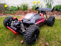 ECX Revenge Shock Protector by pbroeder
