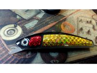 4 Inch Plug by 420SS