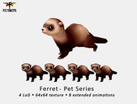 Hoods the Ferret - Pet Series