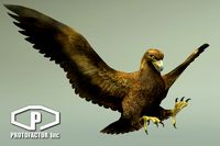 GOLDEN EAGLE