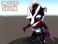 Job Class - Ninja(skunk)
